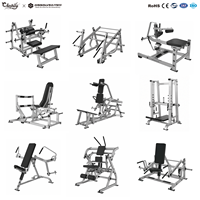 Machine professionnelle de musculation pour triceps à charge libre, équipement de bras pour exercices de dips et entraînement de musculation
