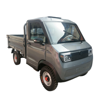 Fabricants chinois : Vente en gros de petites camionnettes électriques neuves pour adultes, CKD25, directement de la source
