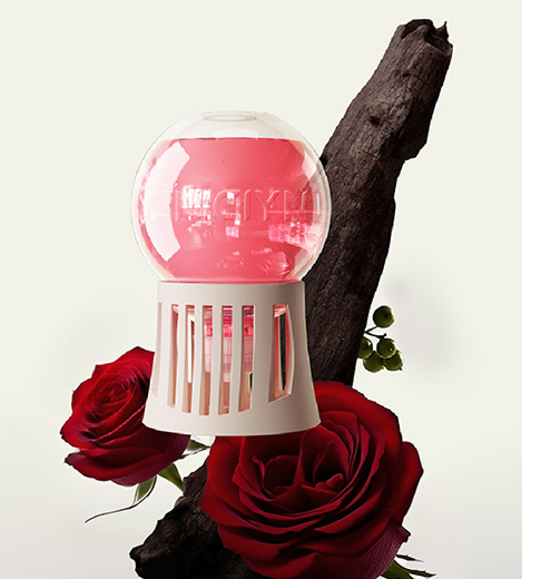 Rosa
