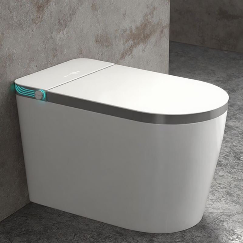 Intelligent Heated Toilet Seat Set Inodoro