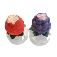 Desserts Halal Surgelés en Forme de Raisin Violet, Glace aux Saveurs Fruitées Fraîches, Croustilles de Chocolat, Sucettes Glacées 3D