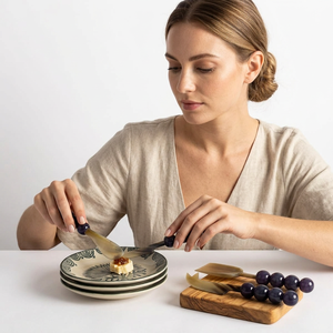 Resin Handle Durable <b>Cheese</b> <b>Knife</b> <b>Set</b> with Stainless Steel Blades Dishwasher and Microwave Safe for Serving and Cutting - Product Image 1