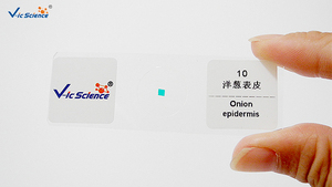 Juego de 16 Portaobjetos Preparados para <span class=keywords><strong>Microscopio</strong></span>, Biología General de Nivel Avanzado para Laboratorios de Secundaria y Universidad, CE ISO ROHS CNAS - Product Image 3