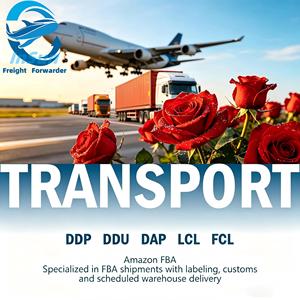 Transporte Aéreo de Flores Frescas en Cadena de Frío, de Kunming, China a AKL, <span class=keywords><strong>Nueva</strong></span> <span class=keywords><strong>Zelanda</strong></span>, Llegada Rápida en 48H, Servicio Profesional al <span class=keywords><strong>Aeropuerto</strong></span> - Product Image 1