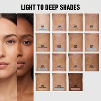 Foundation Cair Private Label Brighten SPF 15 Tahan Lama Full Coverage Matte Finish Rias Wajah Tinted Concealer BB Cream