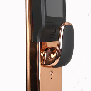 Sản Phẩm Bán Chạy Nhất Khóa Thông Minh Cửa Bằng Giọng Nói Mật Khẩu Nhôm Hoàn Toàn Tự Động Khóa Vân Tay Thông Minh Kỹ Thuật Số Cho Cửa Sang Trọng - Product Image 2