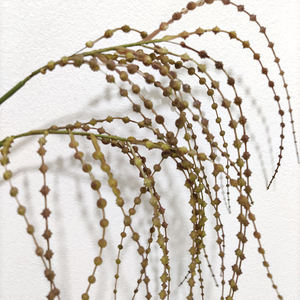 סיטונאי פלסטיק מלאכותי אמאנטוס, דמעות ירוק של מאהב ירוק תלייה צמח בוש פרחים חתונה פרחים - Product Image 4