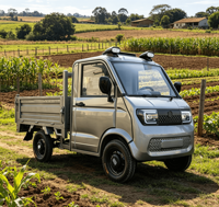 Nouveau modèle de mini camionnette électrique, véhicule à énergie nouvelle avec cabine fermée et carrosserie ouverte, camion de transport électrique à 4 roues pour usage agricole