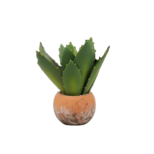Wholesale Office Green Plants with Ceramic Pot Big Leaves Air Purification Succulents Plant Artificial Aloe Vera Plants
