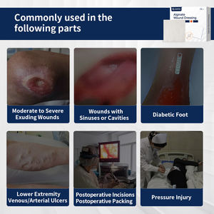 Pansement médical en alginate de calcium, pansement hydrophile en fibres d'alginate, pansement pour plaies en alginate, marque OEM de premier plan - Product Image 2