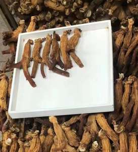 Grosir Ginseng Korea asli impor dalam jumlah besar dengan akar asli yang dipilih dengan hati-hati - Product Image 5