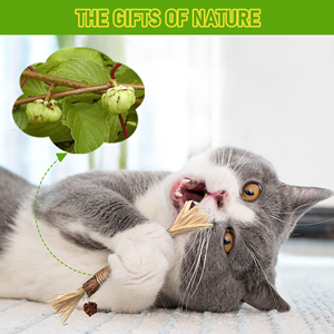 100% <b>Natural</b> Cat Silver Catnip Rattan Dental Care Mix StickKitten Mint Tooth Cleaning Stick Cat Chew Stick Toys - Product Image 4