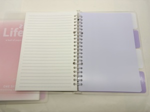 Gradiente Piccolo <span class=keywords><strong>A5</strong></span> a spirale quaderno di 60 pagine Journaling con carta pittura a matita Logo stampato personalizzato per il regalo - Product Image 4