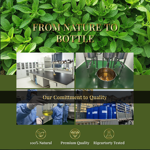 Huile essentielle d'origan 100% pure naturelle biologique en vrac en gros, échantillon gratuit de marque privée, 30 ml, pour les soins de la peau, le massage corporel - Product Image 6