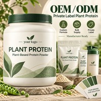 Vente en gros OEM, Marque privée, ODM, Formule personnalisée, Fournisseur en vrac, Fabricant, Poudre de protéines végétales, Dropshipping