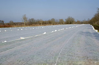 Couvertures végétales en tissu non tissé Couvertures de protection des plantes Couverture agricole