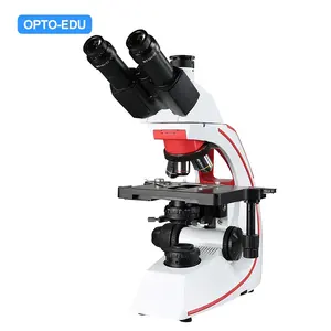 光电A12.0810-T 1600x三眼实验室中国供应商复合显微镜