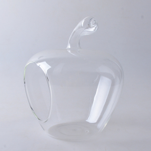 Hanging aria pianta vaso di vetro di apple - Product Image 4