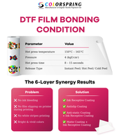 Poudre DTF 3D Colorspring Stereo Made Easy de 1 kg pour sacs – Durabilité perfectionnée