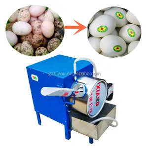 Jet Cleaning quail egg washing machine salted duck egg washing machine for restaurant