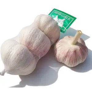 2021 new crop China/Chinese High Quality Fresh garlic mesh bag package garlic in bulk wholesale garlic price
