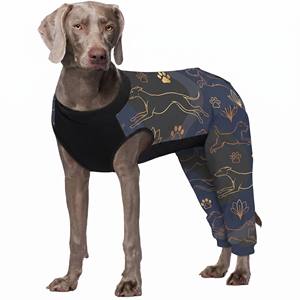 ชุดจั๊มสูทสำหรับสุนัขแบบยืดหยุ่นลายดอกไม้  ป้องกันการเลียแผล  ใช้แทนปลอกคอ  สำหรับไวมาราเนอร์ ลาบราดอร์ และสุนัขพันธุ์กลางถึงใหญ่ - Product Image 2
