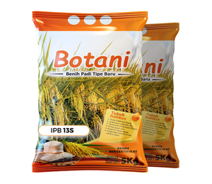 Semences de riz IPB 13S Benih 100% haut rendement, récolte précoce en 85 jours, fournisseur Botani Seed Indonésie - Product Image 1