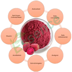 Extracto de hierbas puro soluble en agua de polvo de <span class=keywords><strong>fruta</strong></span> de pera Espinosa Extracto de <span class=keywords><strong>Opuntia</strong></span> Ficus-indica natural 10:1 - Product Image 2