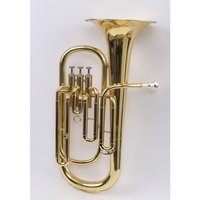 Hot Sale Colored Wind Instrument Euphonium with Golden Lacquer