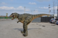 Modèles de dinosaures pour usine d'attractions, vente chaude, costumes de dinosaures animatroniques personnalisés