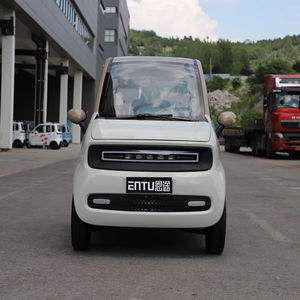 Vehículo Eléctrico Nuevo de Fábrica con Doble Certificación EEC COC, Precio Económico, 2 Puertas, 2 Asientos, Autonomía NEDC de 101-300 km, Batería de 80AH - Product Image 1