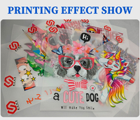 Imprimante DTF FULIYIN 60 cm pour T-shirts, sacs en toile et chaussures