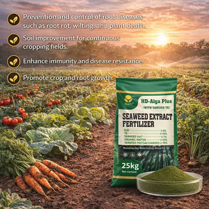 Engrais en poudre à base d'extrait d'algues pour le contrôle des maladies racinales, l'amélioration des sols, organique avec oligo-éléments - Product Image 1