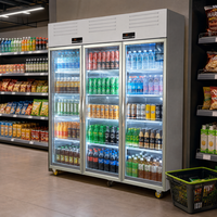 Refrigerador Comercial para Bebidas de Supermercado, con Termostato Mecánico, Puerta de Vidrio, Vitrina Exhibidora