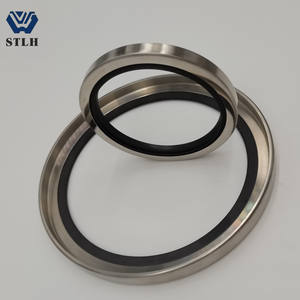 ซีลน้ำมัน PTFE ริมฝีปากเดี่ยวหรือคู่สำหรับปั๊มไฮดรอลิกโรตารี่เพลาสแตนเลสปรับขนาดได้ - Product Image 6