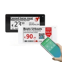 Étiquettes de prix numériques NFC EAS Pricer E-Tags, étiquettes de prix numériques, affichage E Ink, étiquettes électroniques d'étagère ESL