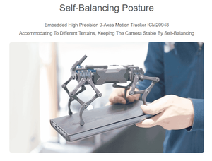 WAVEGO, robot humanoïde 12 degrés de liberté, open source pour ESP32 et PI4B, reconnaissance faciale, suivi des couleurs, détection de mouvement -- WAVEGO -- - Product Image 5