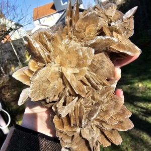 Espécimen de Piedra de Rosa del Desierto Natural, Hermosa Muestra Mineral de Rosa de Yeso para Colección, Adorno para el Hogar, Venta al por Mayor - Product Image 5