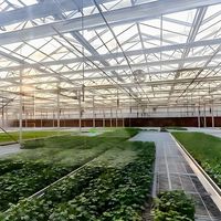 Équipement agricole, serre à faible coût en acier galvanisé, structure robuste, bâtiments agricoles, structures en acier lourd