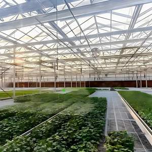 Estructuras <span class=keywords><strong>de</strong></span> Acero Ligeras para Invernaderos Agrícolas, <span class=keywords><strong>de</strong></span> Bajo Costo, <span class=keywords><strong>con</strong></span> Estructura <span class=keywords><strong>de</strong></span> Acero Galvanizado Resistente - Product Image 2