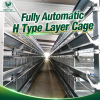 Système de cages automatiques pour poulets de type H à 4 niveaux, cages à batterie galvanisées à chaud pour 50 000 oiseaux, ferme avicole