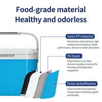 Glacière multifonctionnelle portable, écologique, imperméable et isolée, style tendance, prix compétitif, 5L, pour canettes et aliments