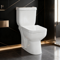 Fohome Toilettes modernes à double chasse en céramique S Trap Sanitarios Inodoro Dos Piezas Toilette pour salle de bain