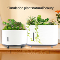 Humidificateur à ultrasons avec diffuseur d'arôme de plantes succulentes, humidificateur de maison à 7 couleurs avec lampe de nuit