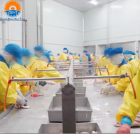 Table de lavage double face pour le nettoyage des tripes de porcs, bovins et ovins – Équipement de traitement des tripes pour abattoirs