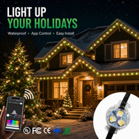 Ismart 2026 Vente en gros Lumière LED extérieure à pixels pour pierres précieuses DC12V 24V 36V 48V 30mm RGB Lumière de Noël permanente