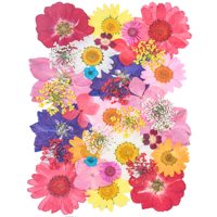 Bunga Daisy Pelangi Alami Delphinium Lace Campuran Bunga Kering Tekan untuk Pembuatan Lilin Dekorasi Sabun Hiasan Rumah
