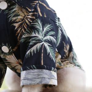 ハワイアンココナッツパイナップルビーチ半袖通気性サマースポーツシャツソフトクールポリエステルペットフルーツポロシャツホットキャッツ - Product Image 6