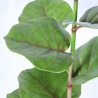 Centres de table décoration de la maison arbre artificiel bonsaï plante artificielle en pot Coccoloba uvifera Raisin avec pot en plastique