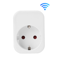Allemagne PLug Type Home Mini Wifi Smart Electrical Plug with Socket Wall Socket Alexa Google Plug